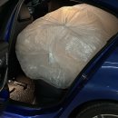 몽글그루밍 이미지