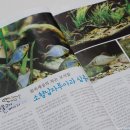 고기이야기 - 52116 | 고기이야기