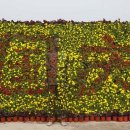 리우(Liu) 이미지