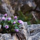 문희횟집 이미지