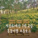 서산 예산 1박 2일 봄꽃여행 프롤로그 (유기방가옥 수선화, 문수사 겹벚꽃, 차이한, 구공스테이 해월...