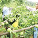 5일시장(어물전) 이미지