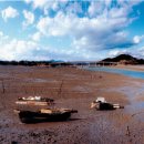 비토섬오토캠핑장 이미지