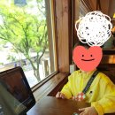 전주 아이랑 여행 전주한옥마을 밥집 전주는전주 전주한옥마을 본점 후기 보석육회김밥 소고기육전 막국수