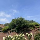 화령약국 이미지