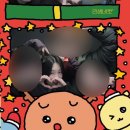 부어라 마셔라 클럽