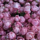 굳센병원 이미지