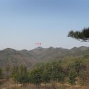 삼거리농장 이미지