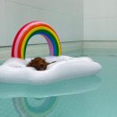 돌산읍하얀연꽃요양원 | 여수 애견 동반 펜션, 독채 풀빌라 반려견 동반 가능 숙소 (바비큐, 온수풀, 조식 제공)