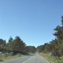 제주포도 | 제주 핀크스 포도호텔 디럭스 한실 숙박 후기