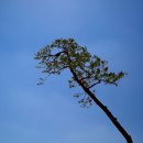 진보객주문학관 다용도관 이미지