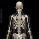 전주목민정한의원 이미지