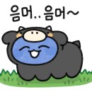 미미팩토리 이미지