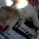 성호농장 이미지