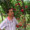 수변공원(1) 이미지