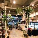 까페꽃향 이미지