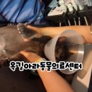 소사프라임동물병원 | 부천24시동물병원 찾는다면? 24시옥길아라동물의료센터 예민한 고양이건강검진 후기