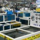 오시리아인펜션 이미지