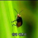 김둘레순대국 이미지