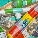 스플라스리솜 이미지