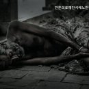 안은의료재단 네이버블로그