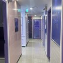 요기요기코인노래연습장 이미지