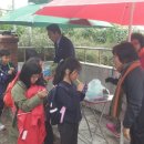 (학교)주영초 이미지