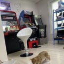 게임기뱅크 이미지