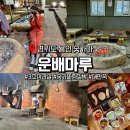 (주)도곡온천 황토참숯가마 | 서울 근교 경기도 용인 운배마루 숯가마 찜질방 준비물 요금 내돈내산( + 찜질하는 강아지 )