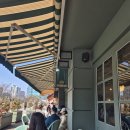 스테이(STAY)플랜트카페 | [내돈내산] 세종시 테라스 카페 - 스테이인터뷰(STAY INTERVIEW) 나성 후기 N번째 방문