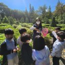 중동반석유치원 이미지