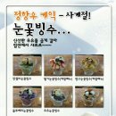 정항우케익 - 동래구 아시아드대로181번길 10 | 정항우케익