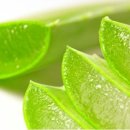 알로에테마파크 이미지