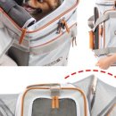 몽슈슈 강아지 이미지