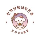 반짝반짝내작은개 이미지