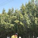 개러리아 이미지