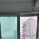 디에스더웰가 이미지