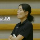 독스 윙스 티스토리