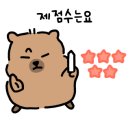 라온피네 이미지