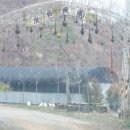 봉림 닭 농장 이미지