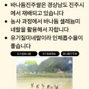 제이에스쇼핑 | 바나듐쌀 후기 부모님 선물로 드리고 저도 정착한 건강식단