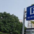 서정공원(인라인스케이트장 옆) | 행신동 서정마을 가라뫼 서정문화공원 바닥분수 물놀이터 여름방학 아이와 가볼만한곳