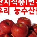 유애플 이미지