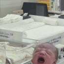 용인제일산부인과의원 | 용인제일산부인과 제왕절개 후기 1일차