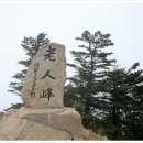 포남주유소 이미지