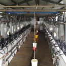 동성목장 이미지