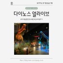 얼라이브짐 | 아이랑 갈만한 곳 | 22개월 아이랑 다녀온 다이노스 얼라이브 내돈내산 후기