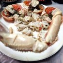 삼형제 | [포항 죽도시장] 가성비 좋은 박달대게 세트 삼형제횟집 방문 후기