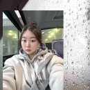 행복이 피어나는 카페 | 봄꽃이 피어나는 3월