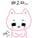 능동국시 이미지